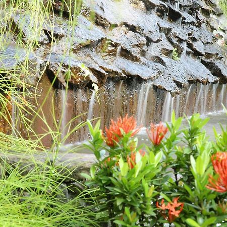 Ayurveda Centrum Lawrence Hill Paradise 希克杜沃 外观 照片
