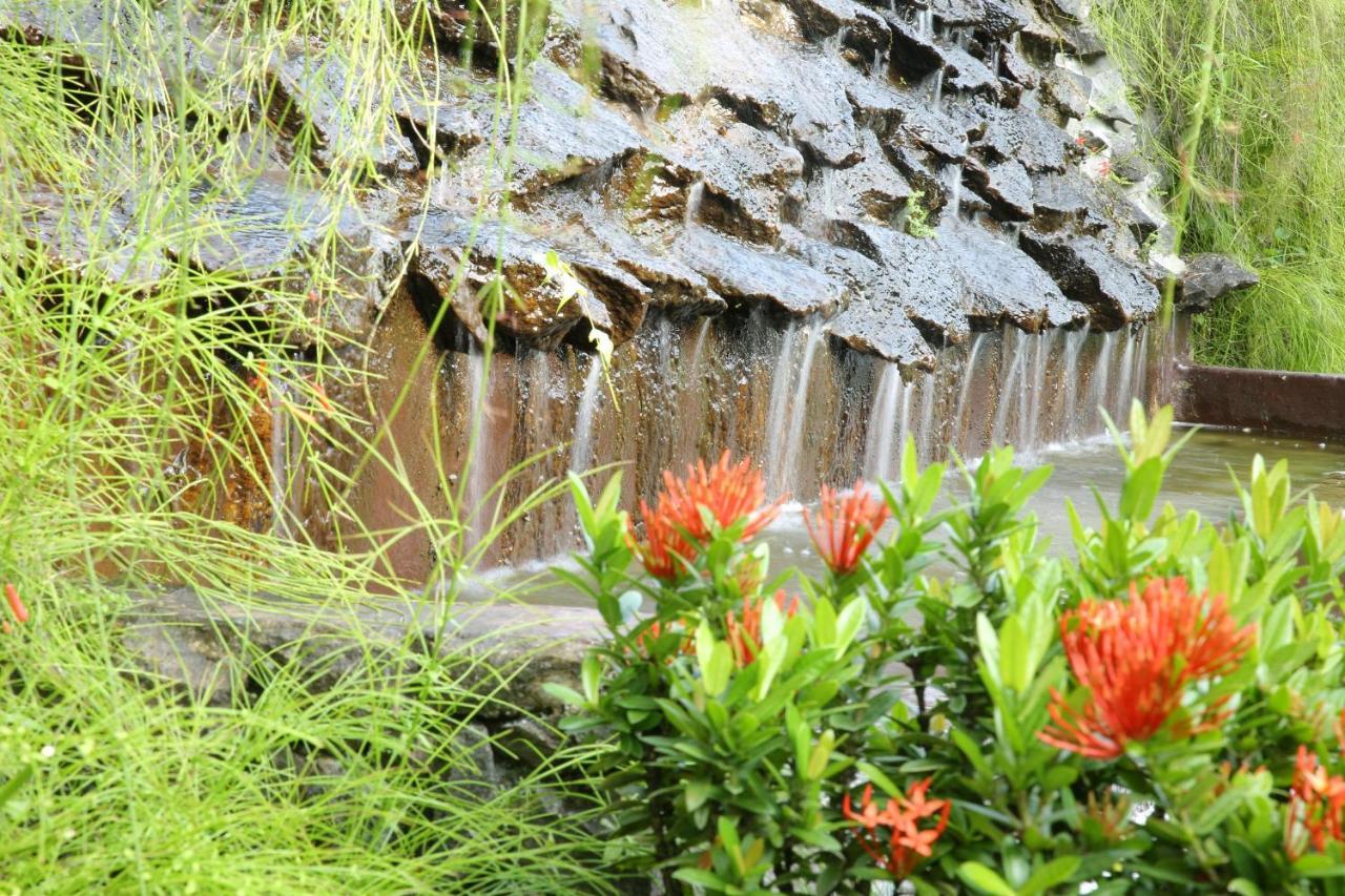 Ayurveda Centrum Lawrence Hill Paradise 希克杜沃 外观 照片