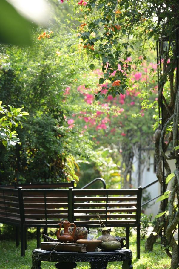 Ayurveda Centrum Lawrence Hill Paradise 希克杜沃 外观 照片